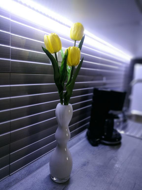 Apartment Cozy Σίμπενικ Εξωτερικό φωτογραφία